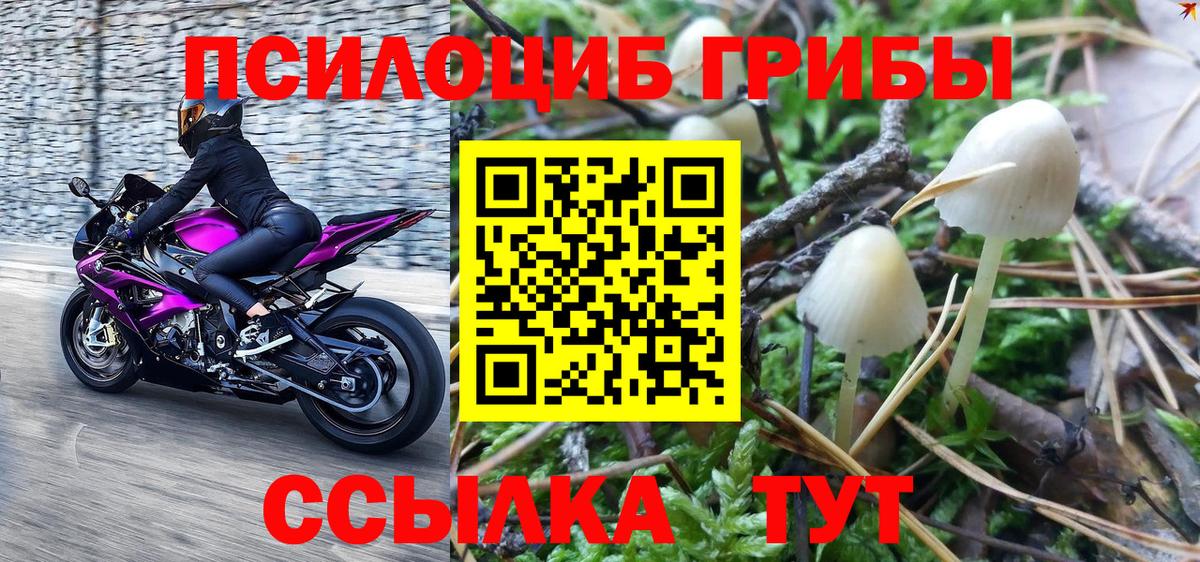 Галлюциногенные грибы Cubensis  Вход с VPN  Галлюциногенные грибы Magic Shrooms  Малоярославец 